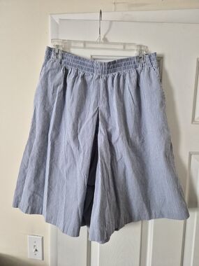 Alfred Dunner Blue and White Striped Men's Hybrid Shorts